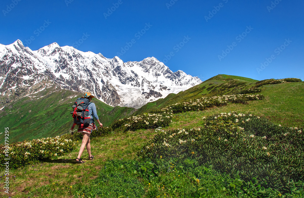 tourist with large backpack rises on mountain trail with view of the Lardaard ice-fall in Georgia Svaneti