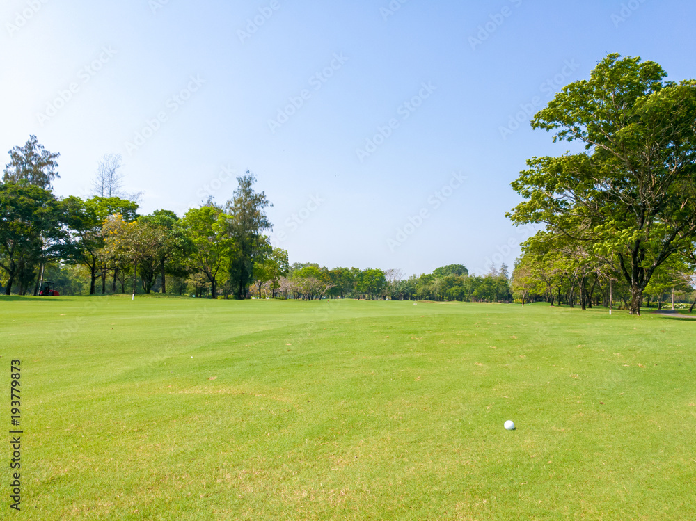White golfball on fairway surrounding with big trees and blue sky background