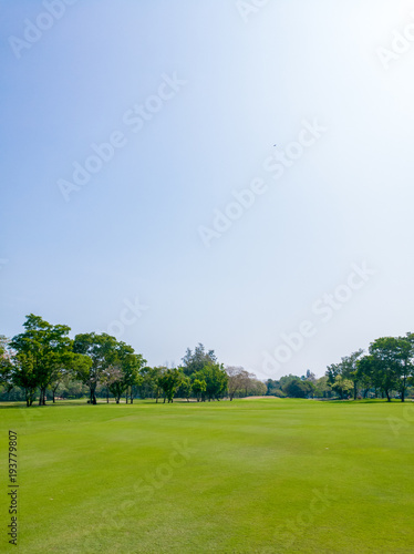 Green fairway in golf course and clear sky background