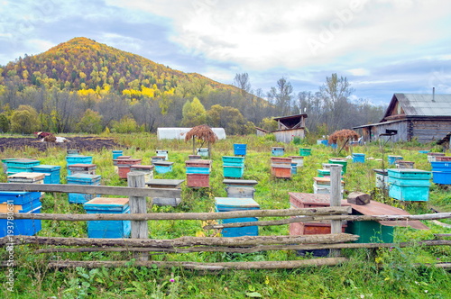 Forest apiary in the Ural Mountains, Russia