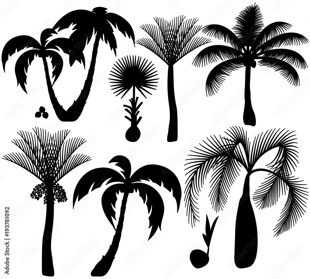 Naklejka premium Palm trees silhouette