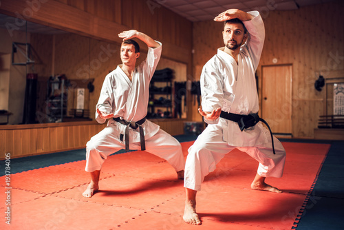 Martial arts masters training combat skill