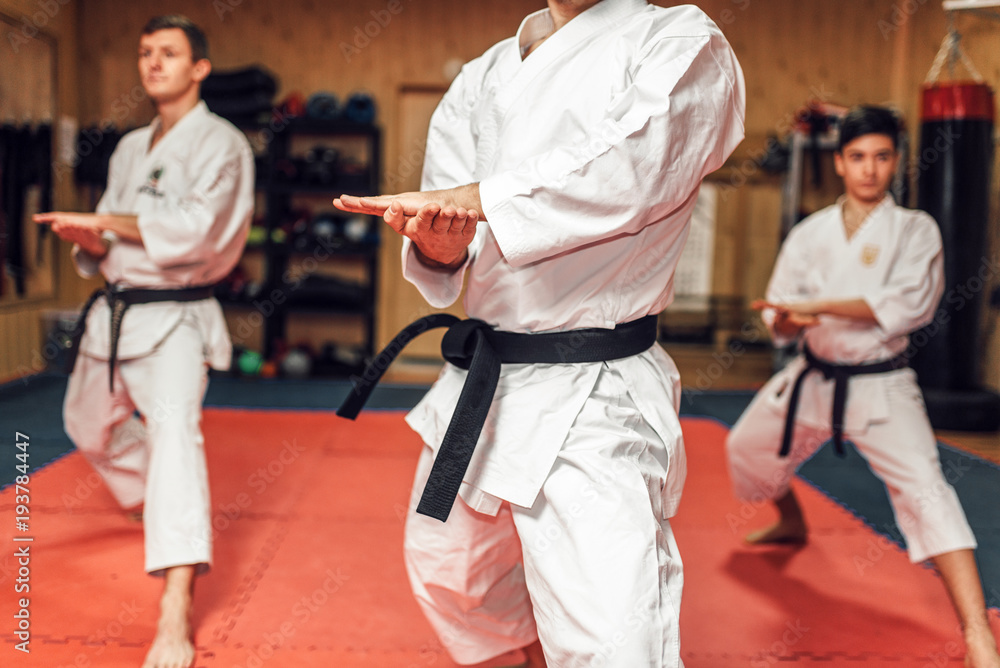 Martial arts, fight training in action Martial arts, fight training in action
