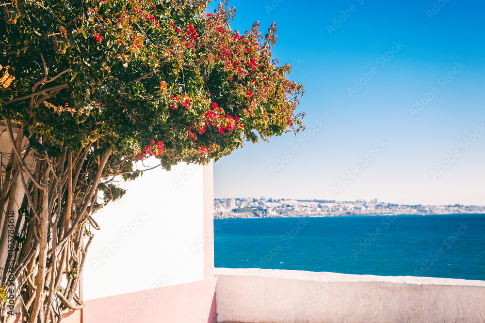 A bush bougainvillea on the facade of a white house and a view of the blue sea, a journey and a holiday at sea