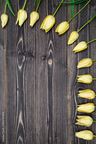 Yellow tulip flowers border on wooden background. Spring background with tulips, copy space. Flat lay, top view. Holiday greeting card for Valentine's Day, Woman's Day (March 8), Mother's Day, Easter