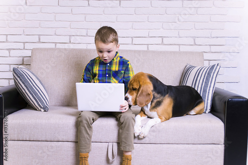 funny boy playing a laptop with a dog on the couch