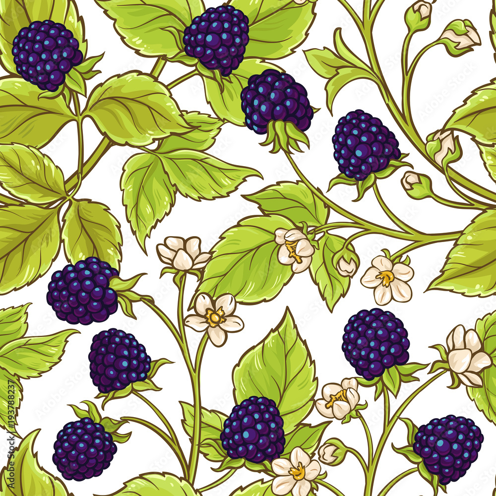 blackberry vector pattern blackberry vector pattern
