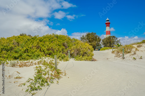 Принти на полотні Scenic red and white Moore Lighthouse Point on blue sky in Geraldton, Western Australia, from pristine beach with dunes The historic steel tower is built in 1878