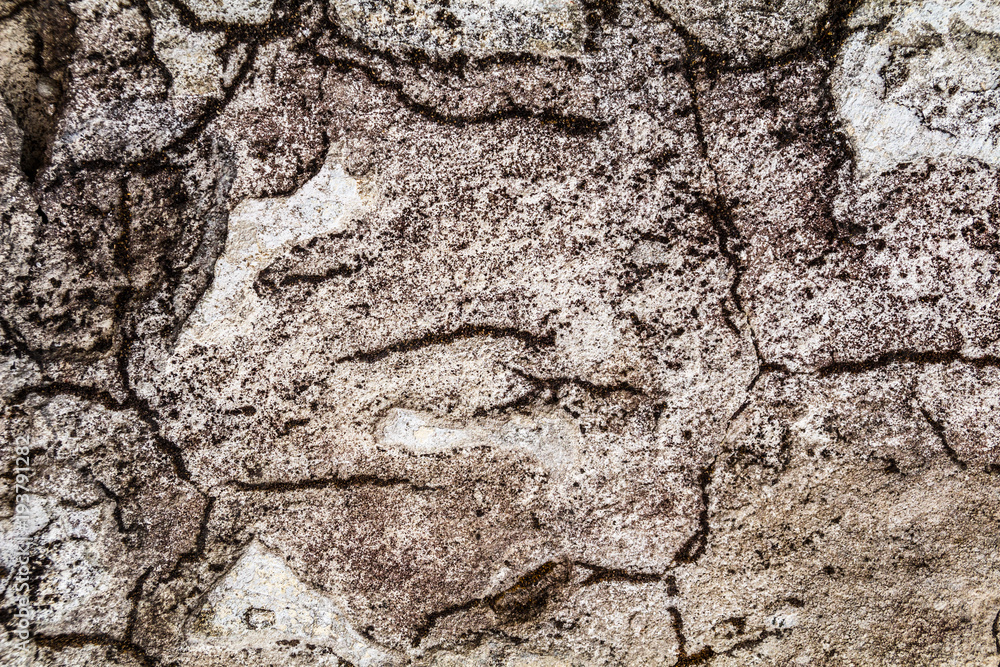 Obraz premium Grunge concrete cement wall with crack in industrial building, great for your design and texture background