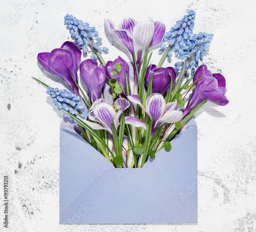 Envelope and spring flower