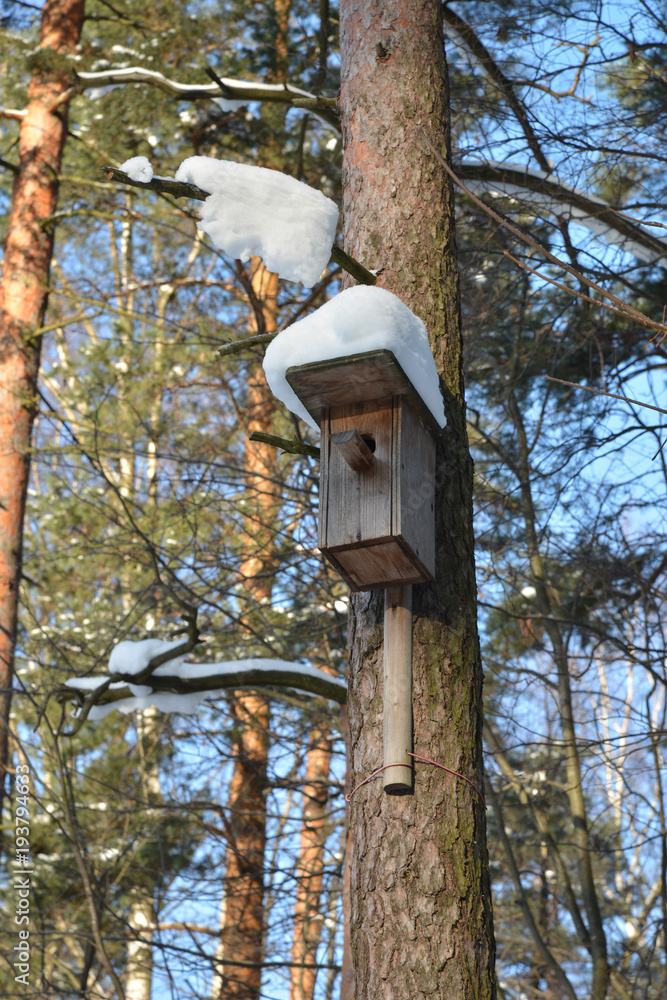 The old bird house. The old bird house.