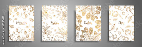 Gold collection of cards design with berries. Vintage gold frame with ripe berries illustrations - raspberry, cherry, blueberry, wild strawberry. Great design for natural and organic products.