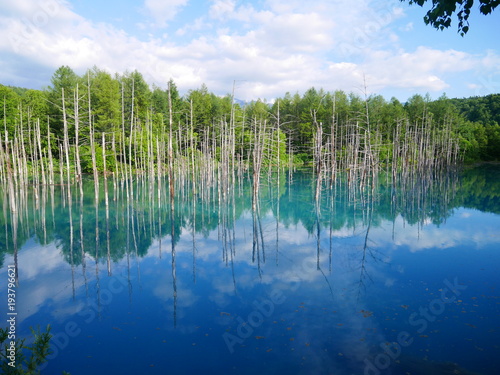 青い池