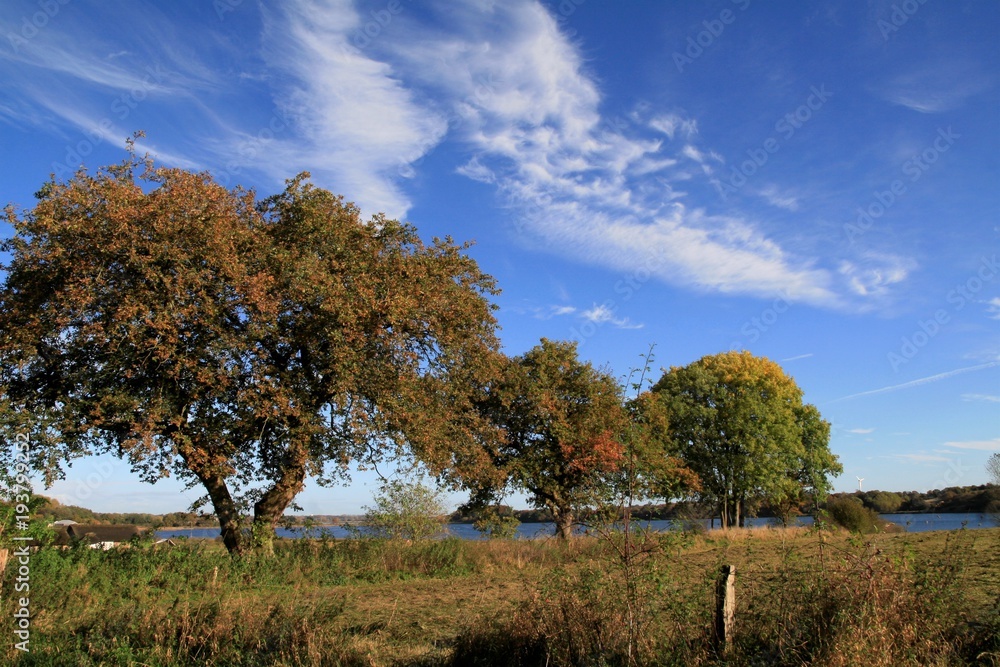 Fototapeta premium Wikingerdorf Haithabu am Haddebyer Noor im Herbst, Wikingersiedlung, Wikinger 