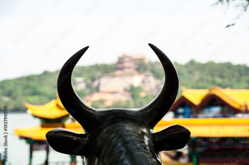 Fototapeta premium View from the copper bull in Summer Palace