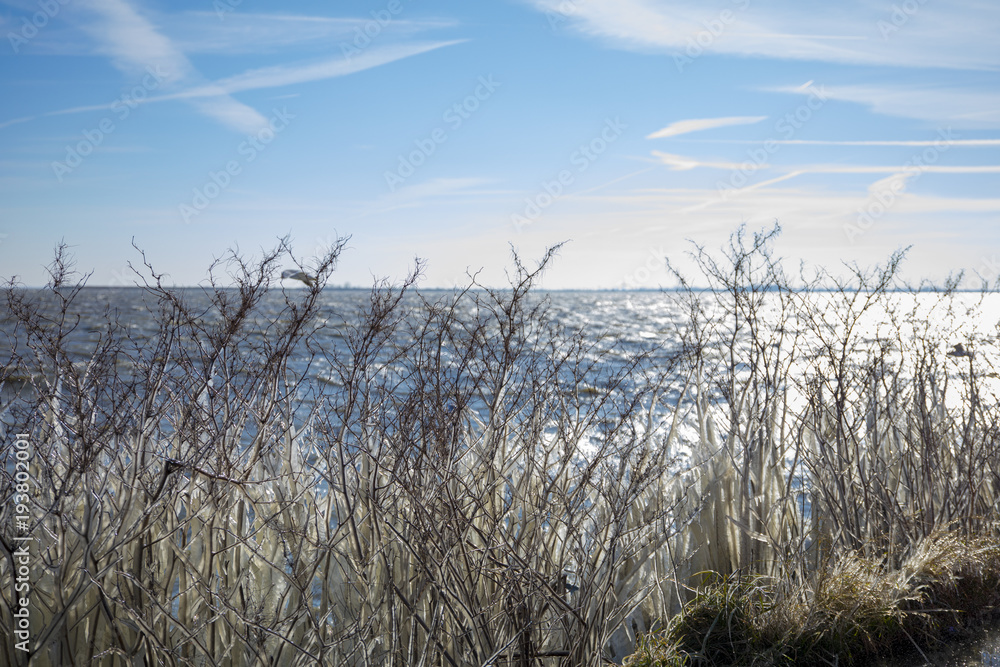 Obraz premium Volendam frozen grass