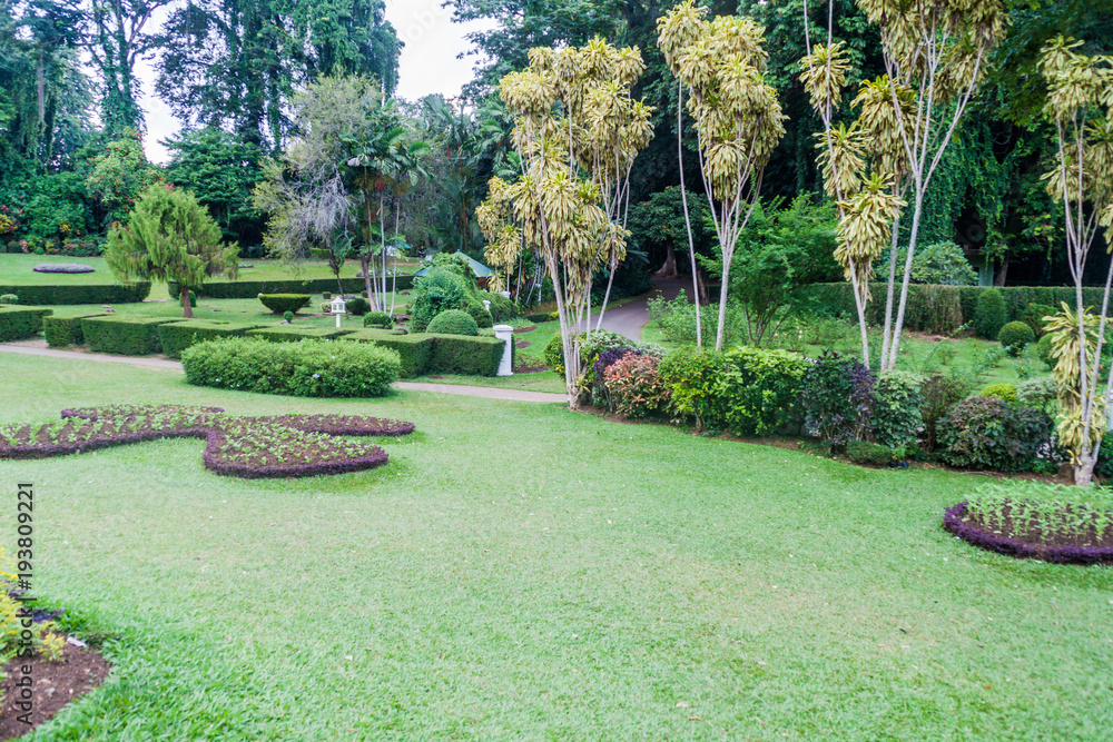 Grounds of beautiful Peradeniya Royal Botanical Gardens near Kandy, Sri Lanka