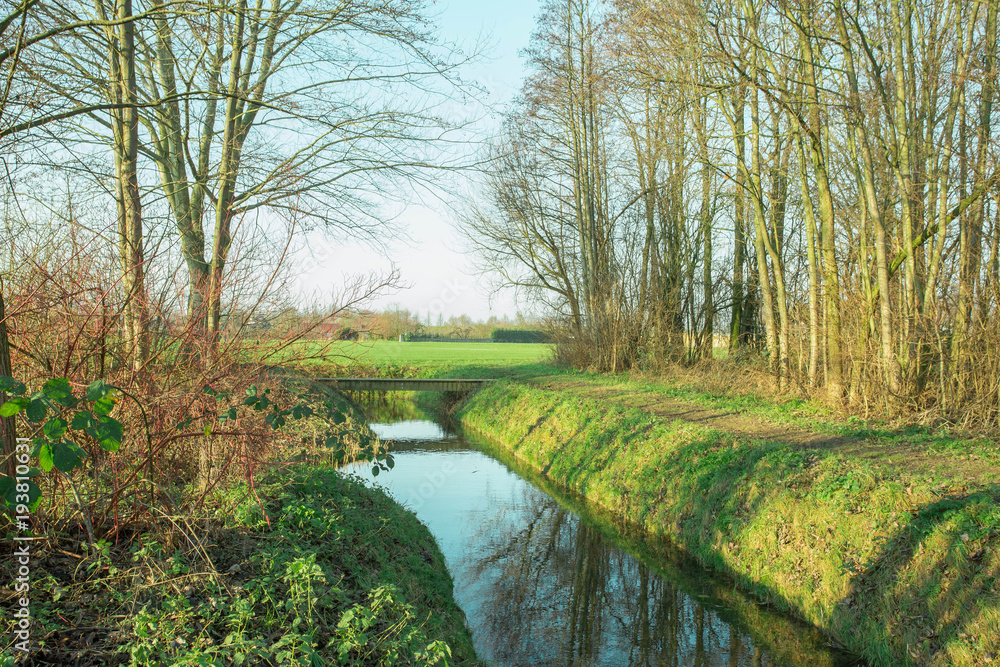 Meadow landscape in the spring on a sunny day in the Netherlands Meadow landscape in the spring on a sunny day in the Netherlands