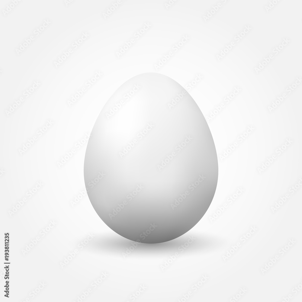 Vector realistic egg with shadow. Isolated on white background Vector realistic egg with shadow. Isolated on white background