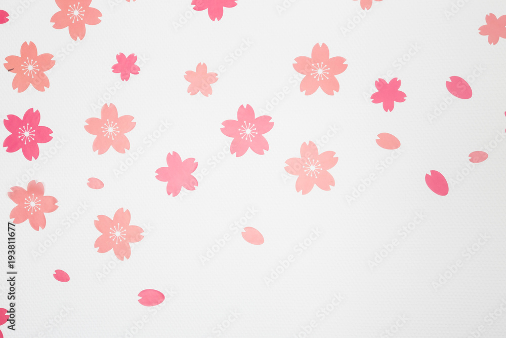 Pink flowers on white wall background