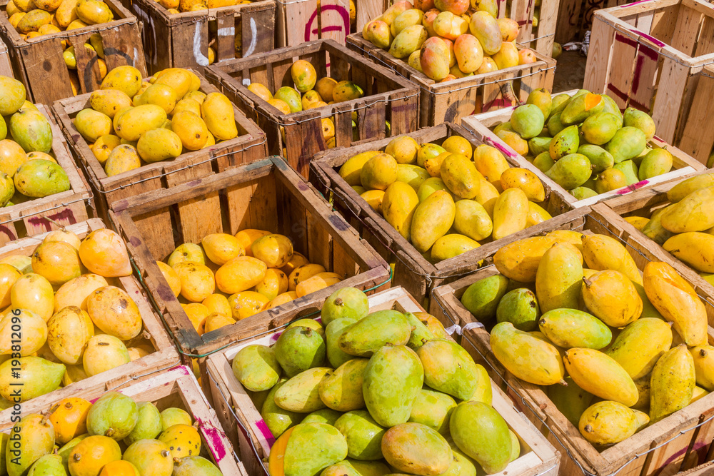 Boxes o mango at Manning Market in Colombo, Sri Lanka