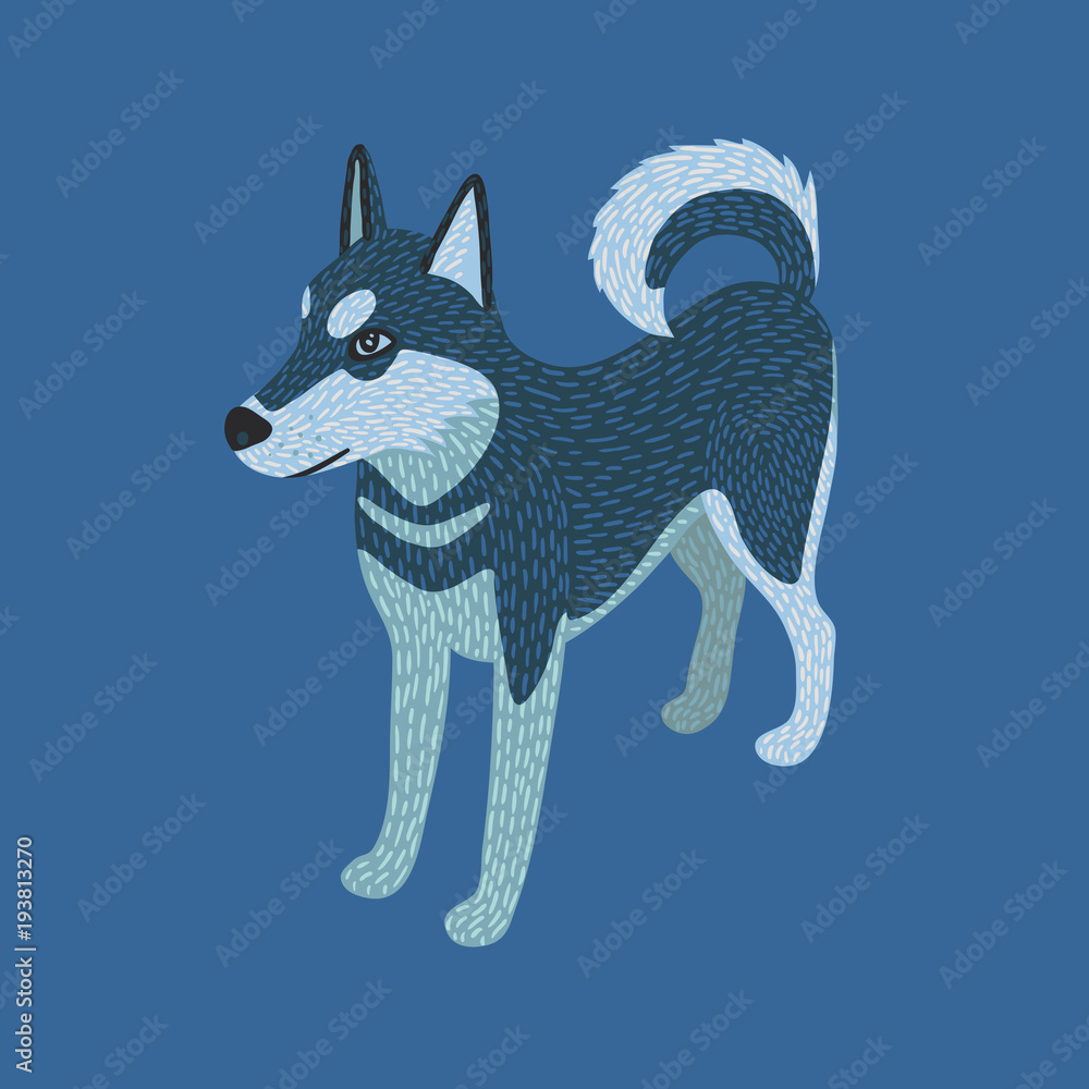Obraz premium Husky dog isometric on blue