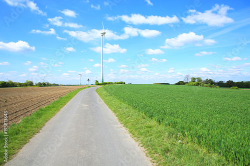Rural road near Warendorf in Muensterland, Westphalia, Germany