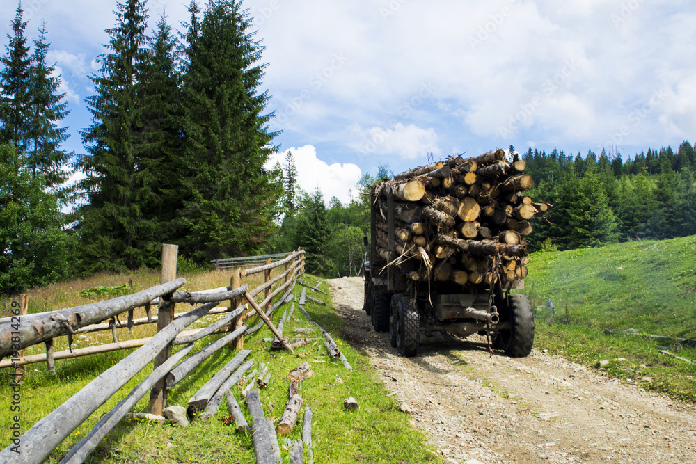 Truck transportations a felled forest in the mountains. Deforestation.