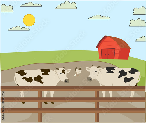 cow farm