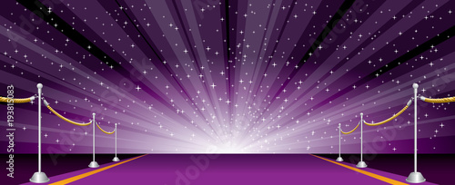 horiz burst carpet purple