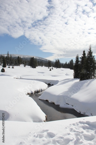 Modrava brook. Winter landscape. Breznik, National Park Sumava, Czech Republic.