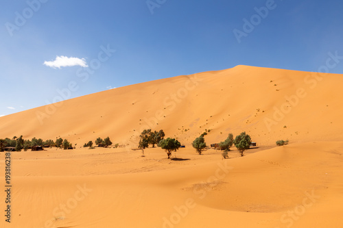 oasis in the Sahara desert, Erg Shebbi dunes, Morocco