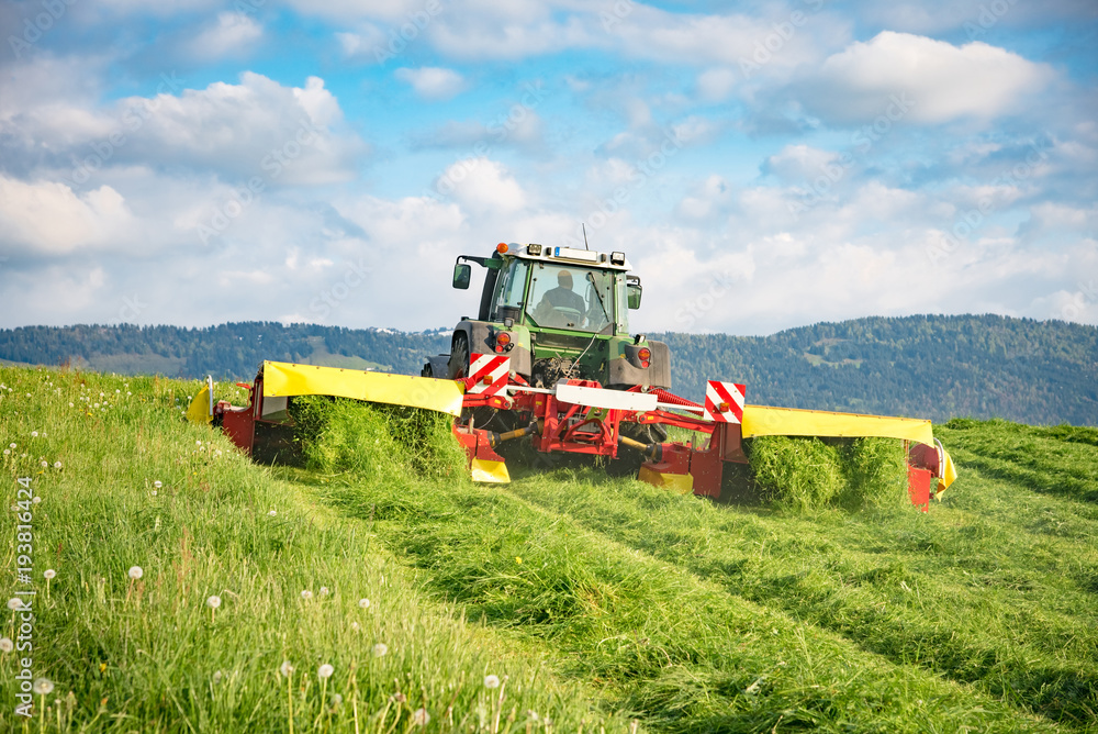 Fototapeta premium Einsatz moderner Landtechnik bei der Grasmahd für Silage