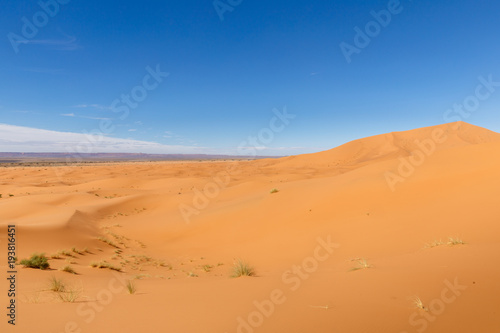 Sand Dunes of Erg Chebbi in he Sahara Desert  Morocco