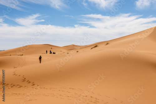 Sand Dunes of Erg Chebbi in he Sahara Desert  Morocco