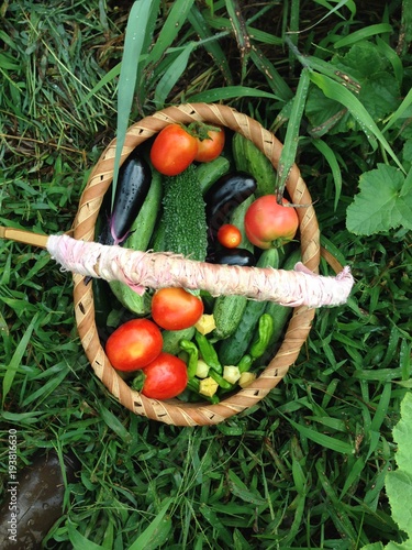 Organic vegetable basket