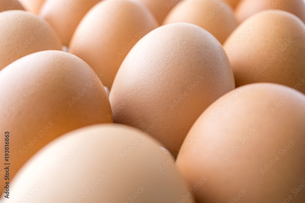 Macro picture of an eggs in the tray Macro picture of an eggs in the tray