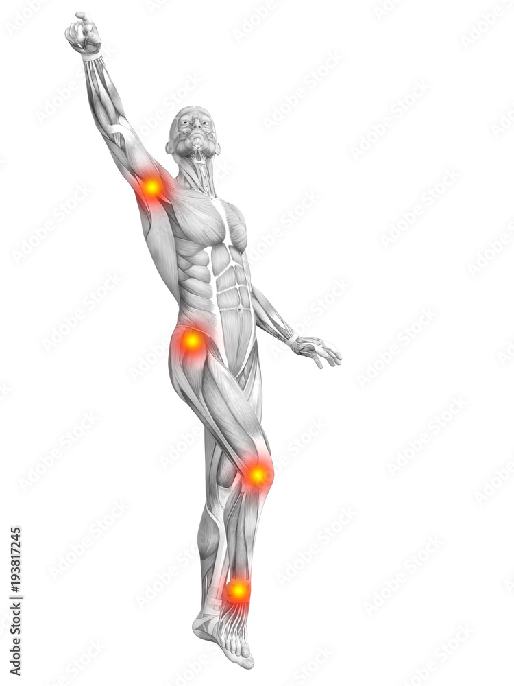 Conceptual human muscle anatomy with red and yellow hot spot inflammation or articular joint pain for health care therapy or sport concepts. 3D illustration man arthritis or bone osteoporosis disease Conceptual human muscle anatomy with red and yellow hot spot inflammation or articular joint pain for health care therapy or sport concepts. 3D illustration man arthritis or bone osteoporosis disease