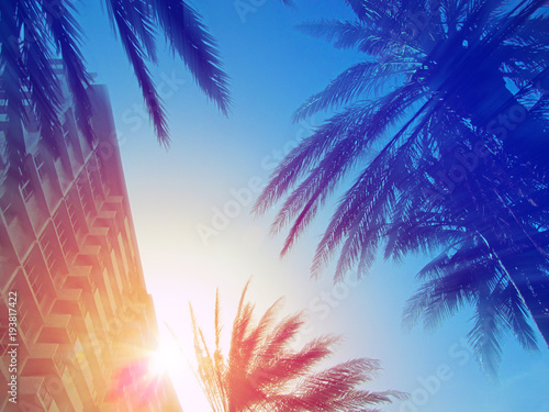 Fototapeta Naklejka Na Ścianę i Meble -  Modern building and palm trees in Miami, Florida, USA. 
Beautiful sun rays from behind the house facade illuminate the city landscape of famous street - Lincoln Road on a sunny summer day.