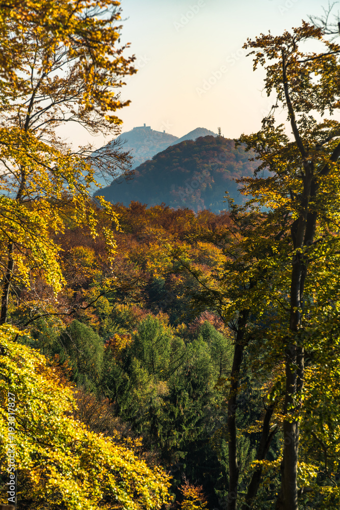 Fototapeta premium view of Bezděz castle in autumn landscape