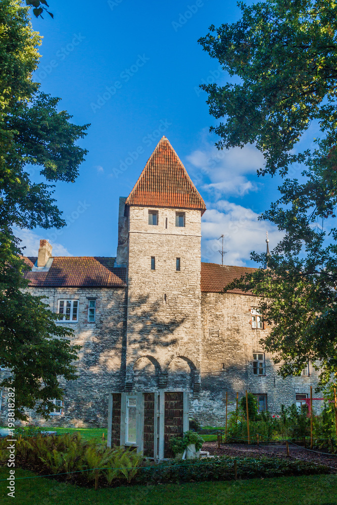 Tower at the fortification walls in the old town of Tallinn, Estonia