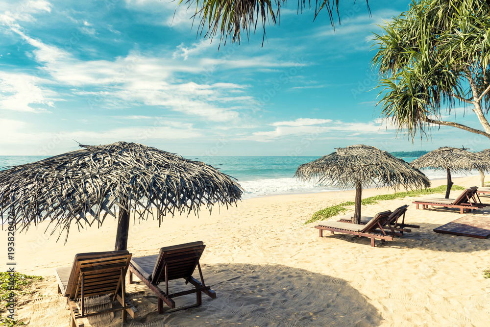 Beach beds with umbrellas on tropical beach in Sri Lanka - obrazy, fototapety, plakaty 