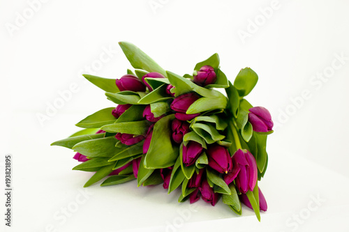 Bouquet of crimson tulips