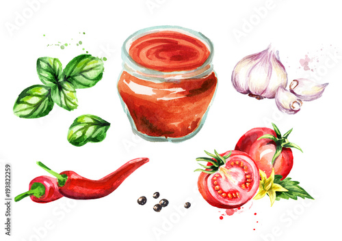 Tomato sauce set with tomatoes, garlic, chili, black pepper and Basil. Watercolor hand drawn illustration, isolated on white background