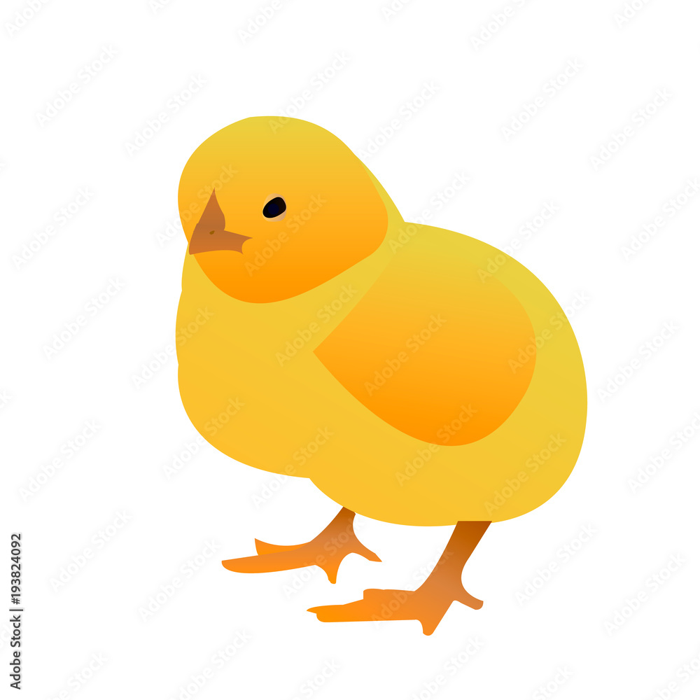 Chicken isolated on a white background. Vector illustration of a chicken Chicken isolated on a white background. Vector illustration of a chicken