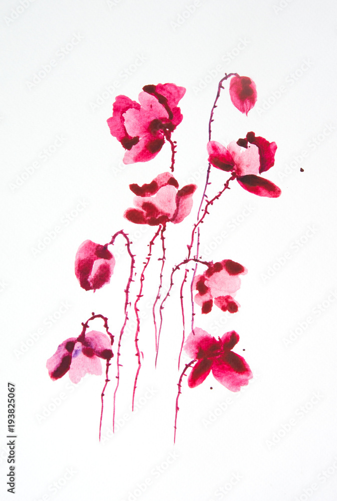 Red poppy flower on white background, watercolor hand painted on paper Red poppy flower on white background, watercolor hand painted on paper