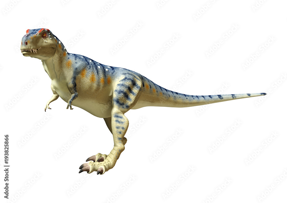 Fototapeta premium 3D Rendering Dinosaur Tyrannosaurus on White