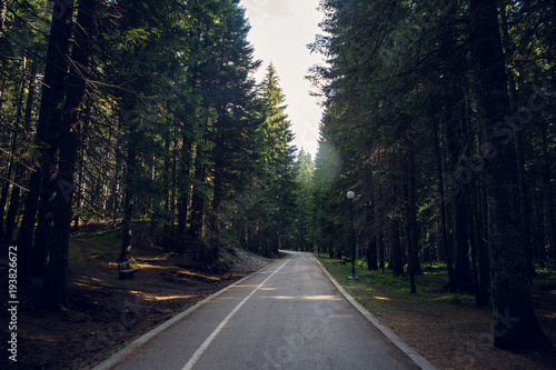 dark morning pedestrian road to the forest in Montenegro