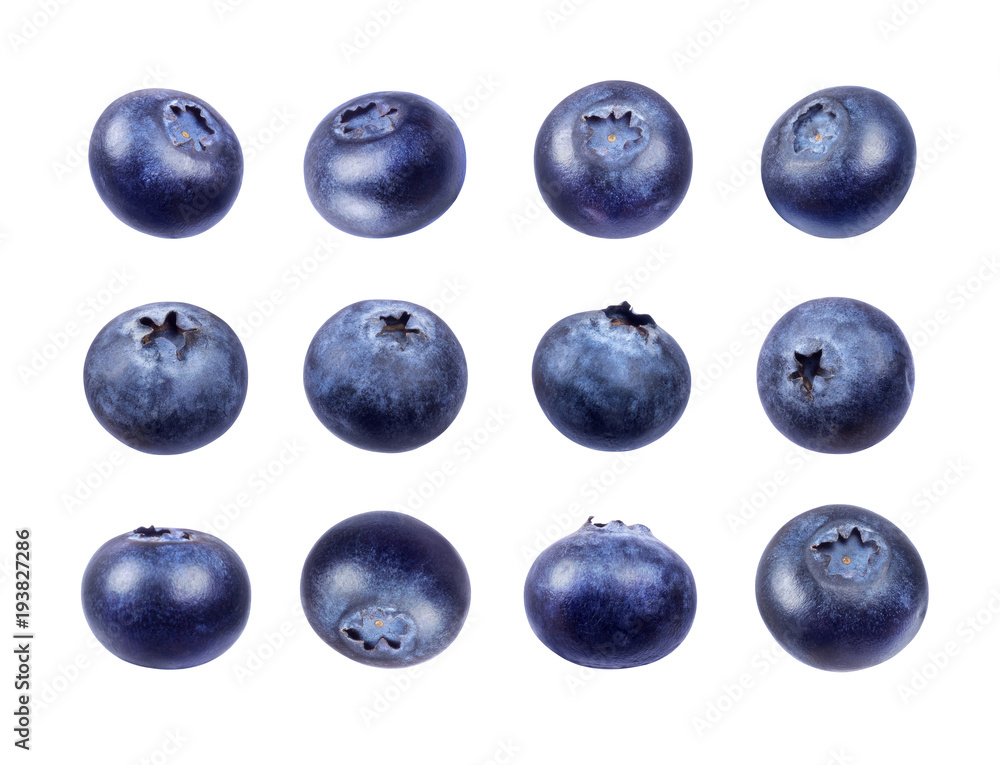 Set of fresh blueberries isolated on white background Set of fresh blueberries isolated on white background