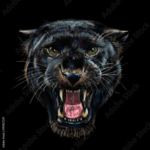 Roaring black panther on black.